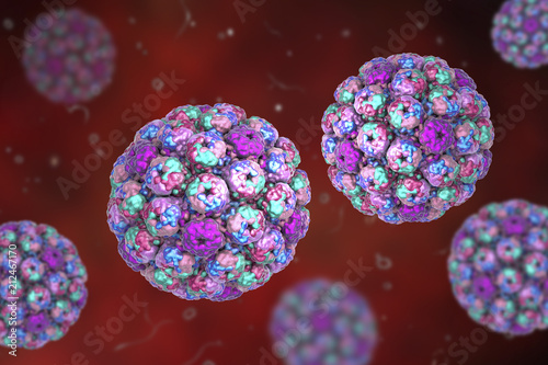 Polyomavirus, DNA virus, Papovaviridae family, 3D illustration. Many of them are asymptomatic but some cause cancer, such as Merkel cell polyomavirus, leukoencephalopathy, haemorrhagic cystitis photo