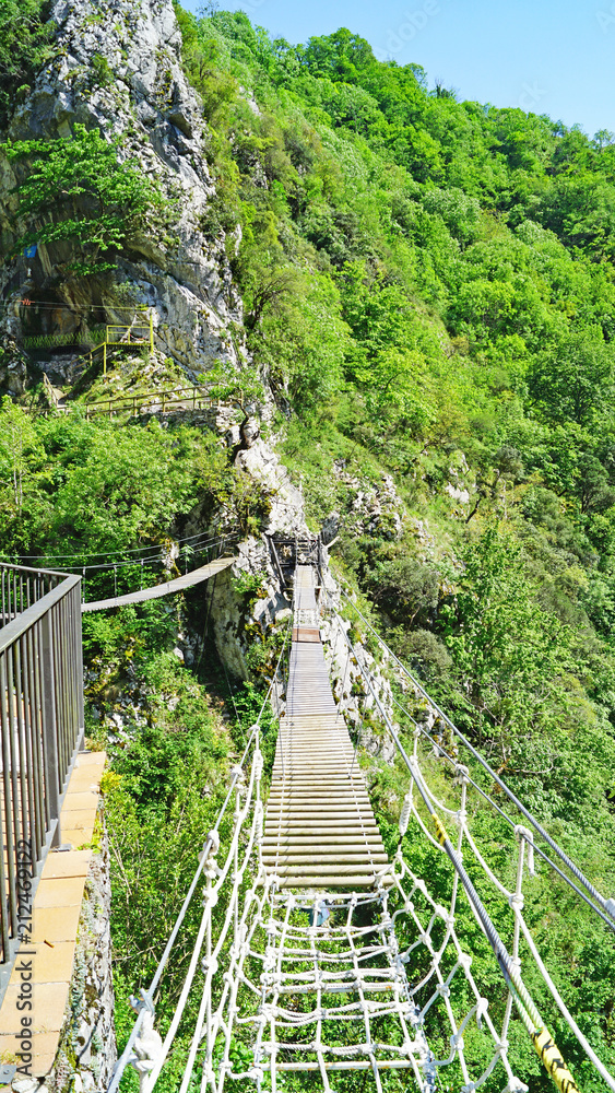 Fototapeta premium Desfiladero de los Beyos Ponga en el Principado de Asturias, Asturias, España