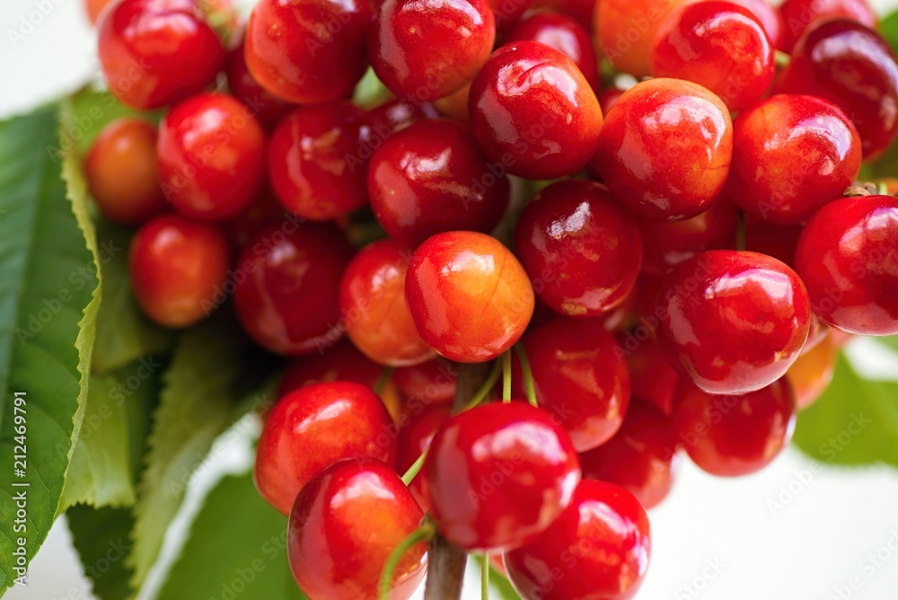 Bunch of red cherries. Bunch of red cherries.