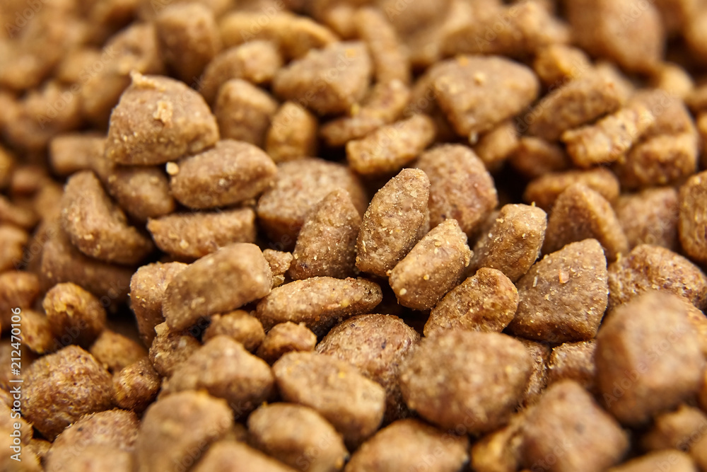 Dry food for dogs and cats. Pet meal background Dry food for dogs and cats. Pet meal background
