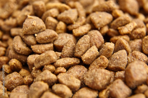 Dry food for dogs and cats. Pet meal background