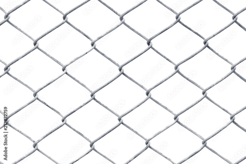 Fototapeta premium wire fence