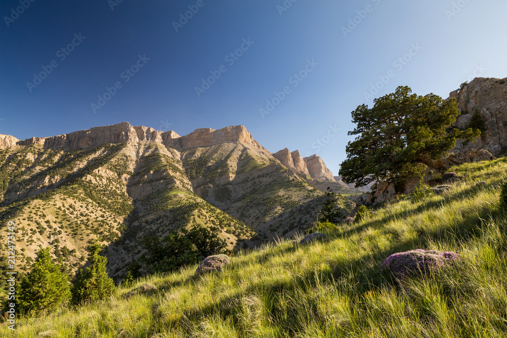 Obraz premium Hezar Masjed Mountains, Khorasan, Iran