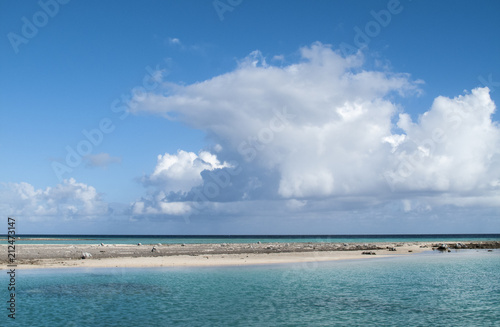 Fototapeta Naklejka Na Ścianę i Meble -  reef ring,lagoon and motu on Tahanea atoll, Tuamotus archipelago, French Polynesia, south pacific