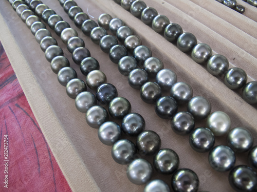 black pearls, just harvested on a pearl farm in the Fakarava atoll, Tuamotus, French Polynesia