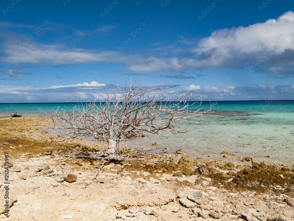 reef ring,lagoon and motu on Tahanea atoll, Tuamotus archipelago, French Polynesia, south pacific reef ring,lagoon and motu on Tahanea atoll, Tuamotus archipelago, French Polynesia, south pacific