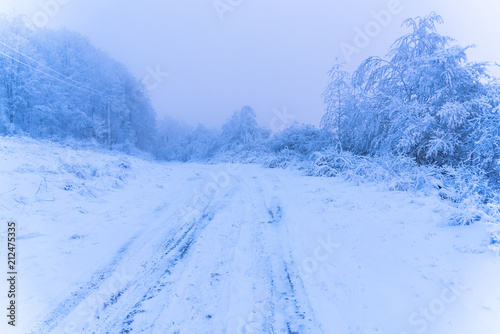 Fototapeta Naklejka Na Ścianę i Meble -  Morning winter landscape