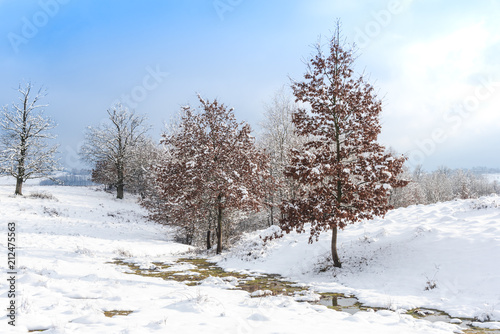 Winter landscape © Ivanica