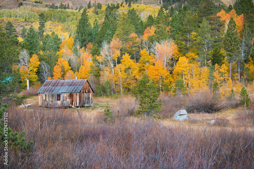 Red Creek Cabin