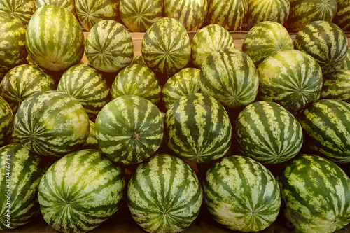 Many big sweet green watermelons at fruit market