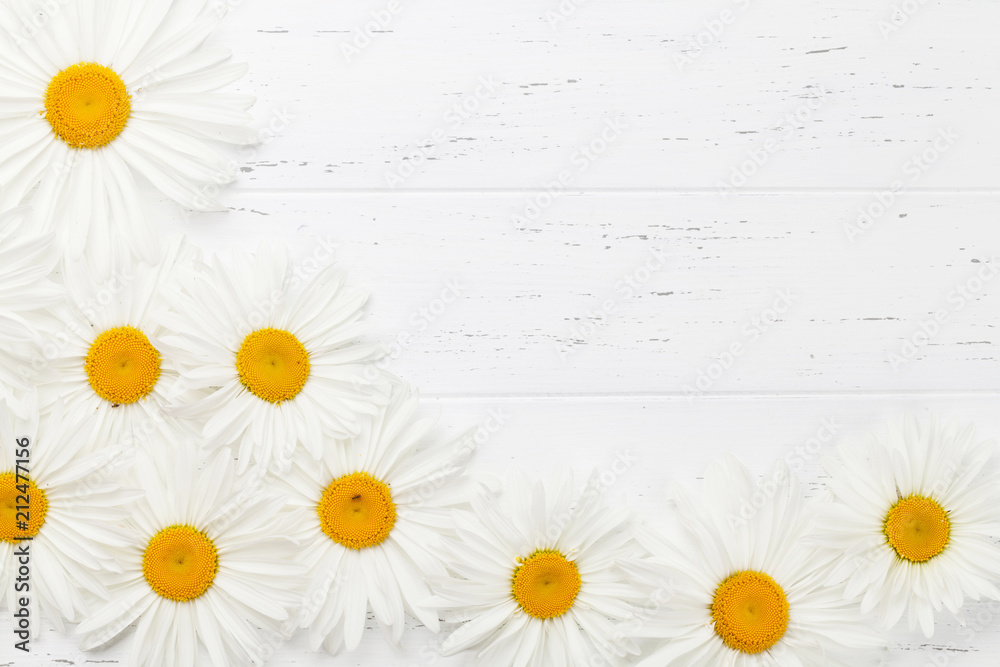 Obraz premium Garden chamomile flowers on wooden background
