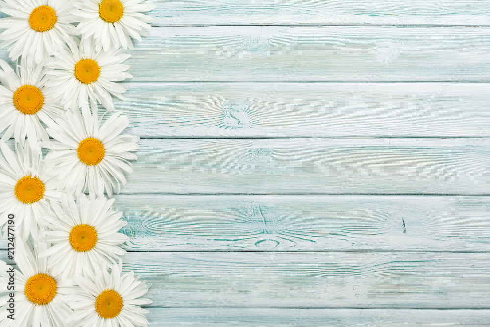 Obraz premium Garden chamomile flowers on wooden background