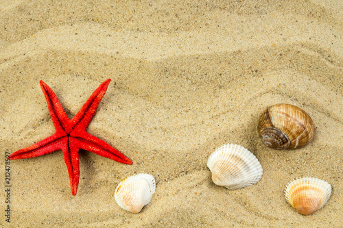 Sand on the beach, starfish and pebbles as background. Concept of rest. Top view.