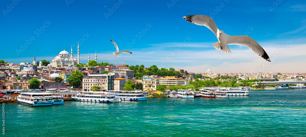 Naklejka premium Zatoka Golden Horn w Stambule