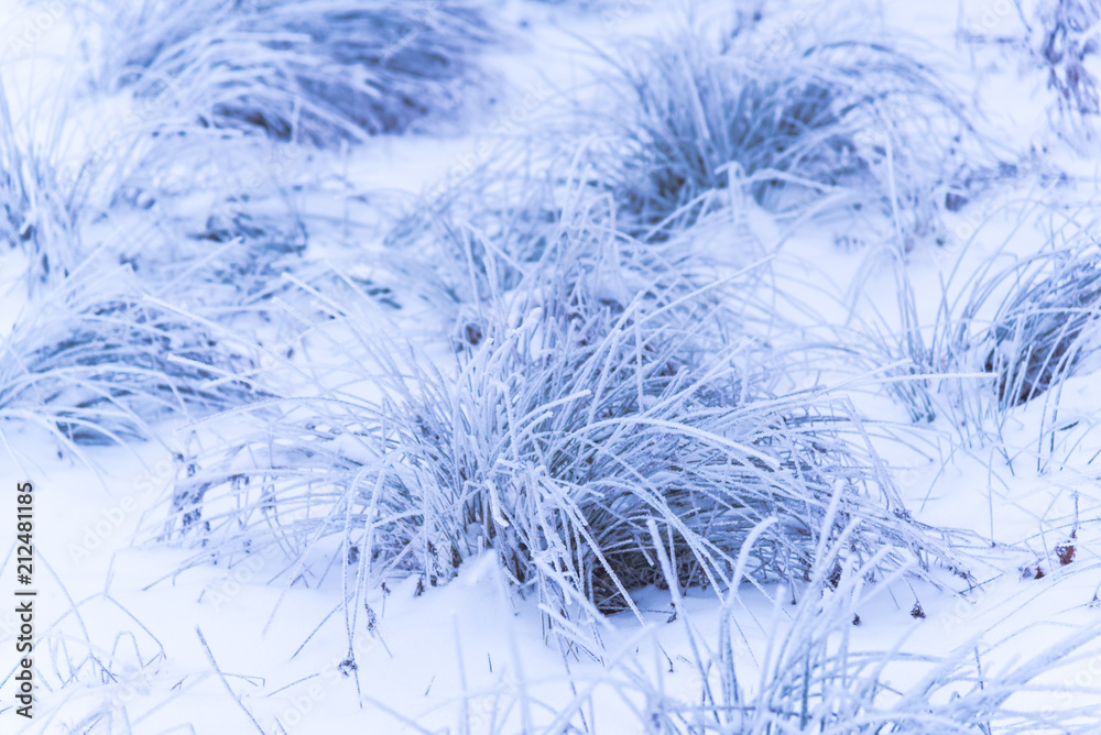 Obraz premium Mystic winter fog at the morning