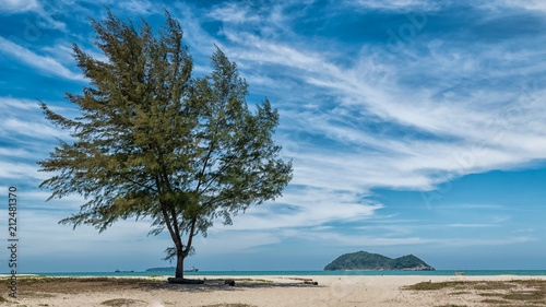 Pine on Samila beach, Songkhla Thailand © kaipungyai