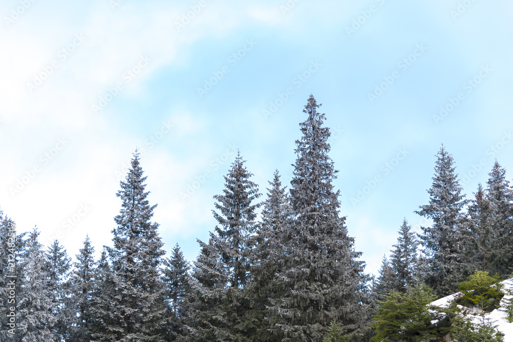 Winter in Rarau Mountains, Romania