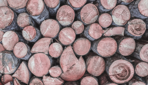Sawn timber harvested in the woodpile
