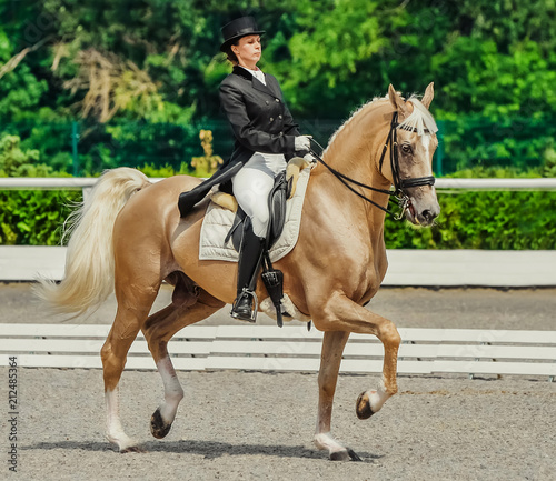 Elegant rider woman and cremello horse. Beautiful girl at advanced dressage test on equestrian competition. Professional female horse rider, equine theme. Saddle, bridle and other details.