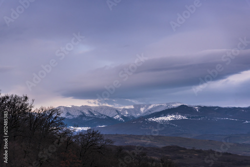 Winter landscape