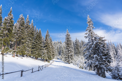 Winter landscape with fresh snow on the trees