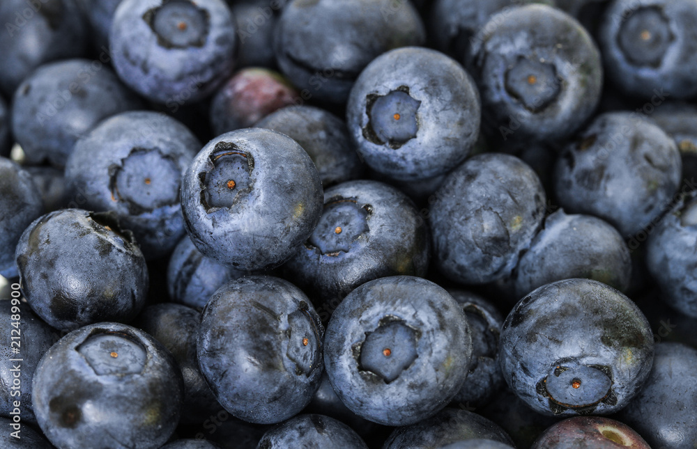 Blaubeeren im Detail Blaubeeren im Detail