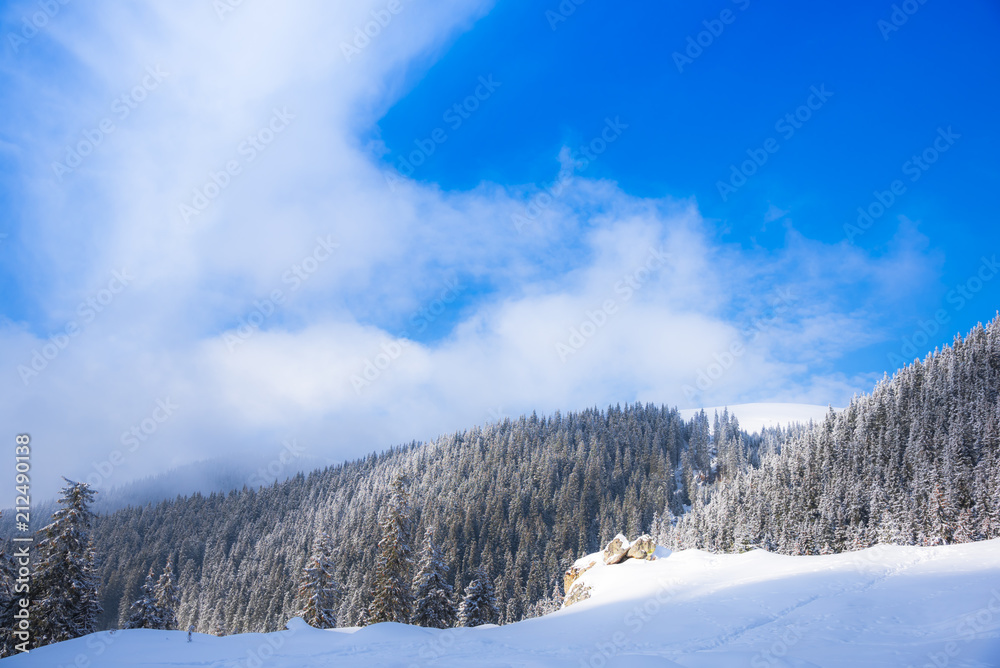 Winter in Carpathian Mountains