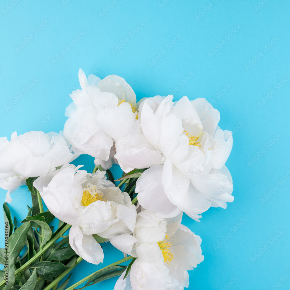 Blooming white peony flowers