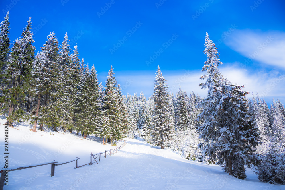Winter in Carpathian Mountains Winter in Carpathian Mountains
