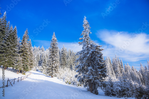 Winter in Carpathian Mountains © Ivanica