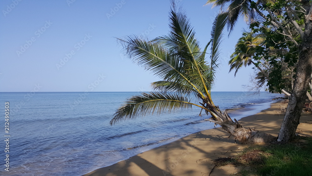 Fototapeta premium Puerto Rico