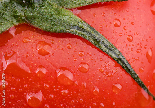 Close up of tomato with water drops © Bojanikus