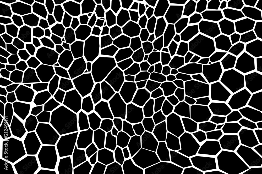 giraffe texture pattern black white safari zoo jungle print giraffe texture pattern black white safari zoo jungle print