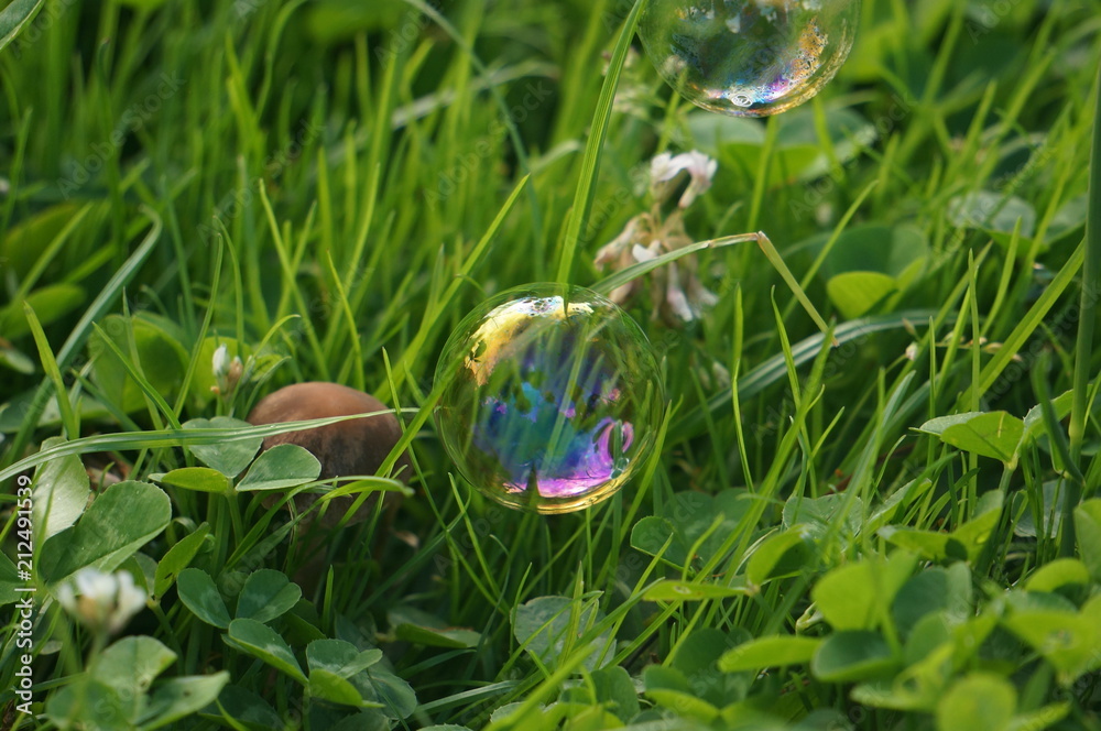soap bubbles on the grass