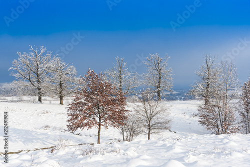 Winter landscape with fresh snow © Ivanica