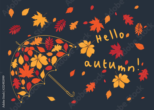 Hello autumn! Umbrella and autumn leaves on dark background. Vector illustration.