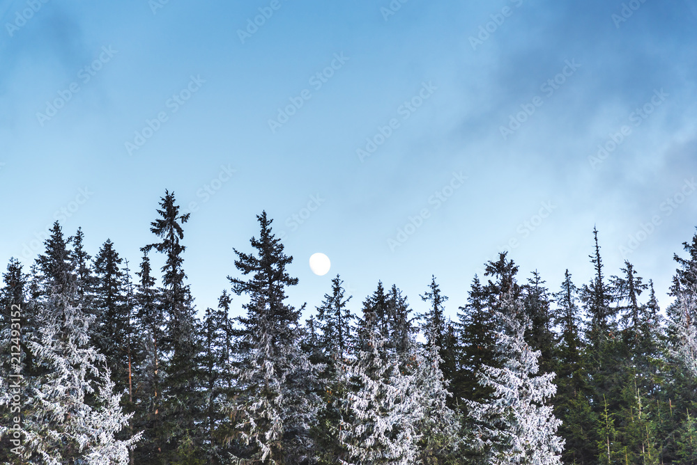 Clous in the mountains at the winter Clous in the mountains at the winter