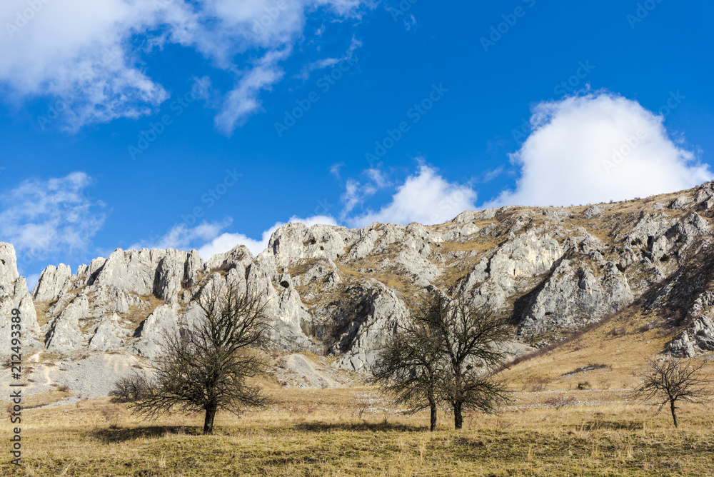 Trascau Mountasins in sunny day