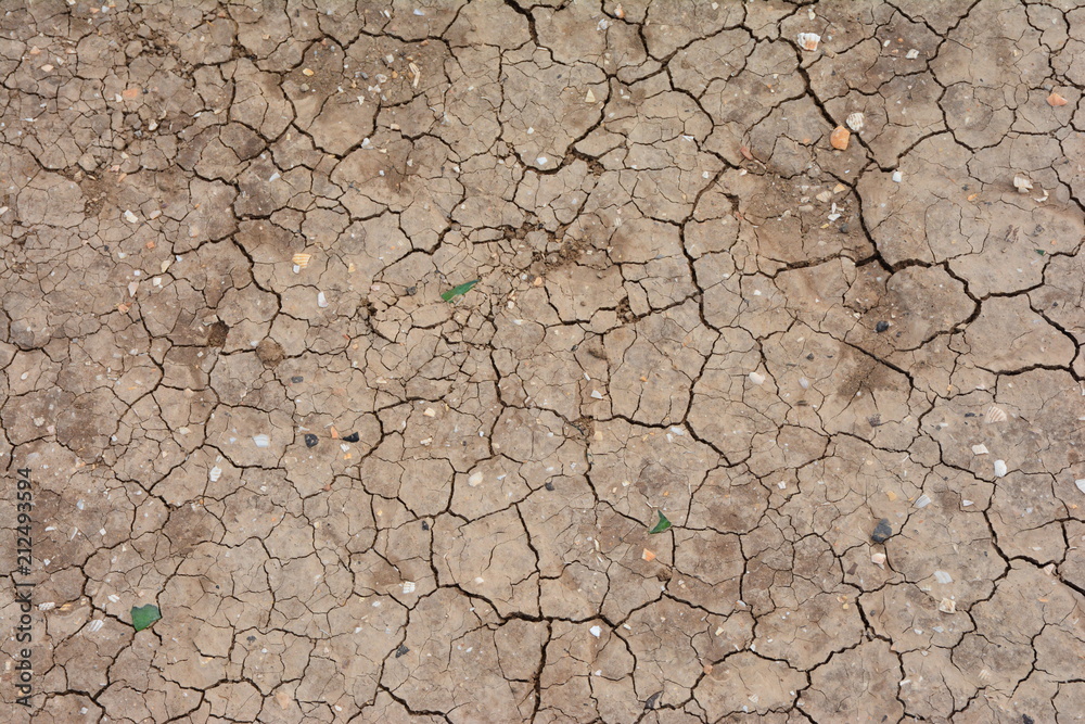 Fototapeta premium Salt lake on the sea