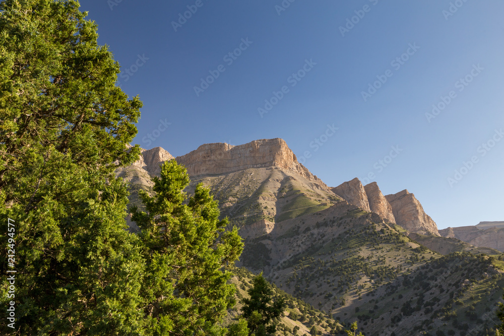 Juniperus Hezar Masjed Mountains, Khorasan, Iran