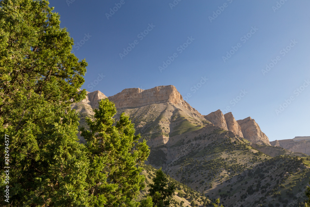 Obraz premium Juniperus Hezar Masjed Mountains, Khorasan, Iran