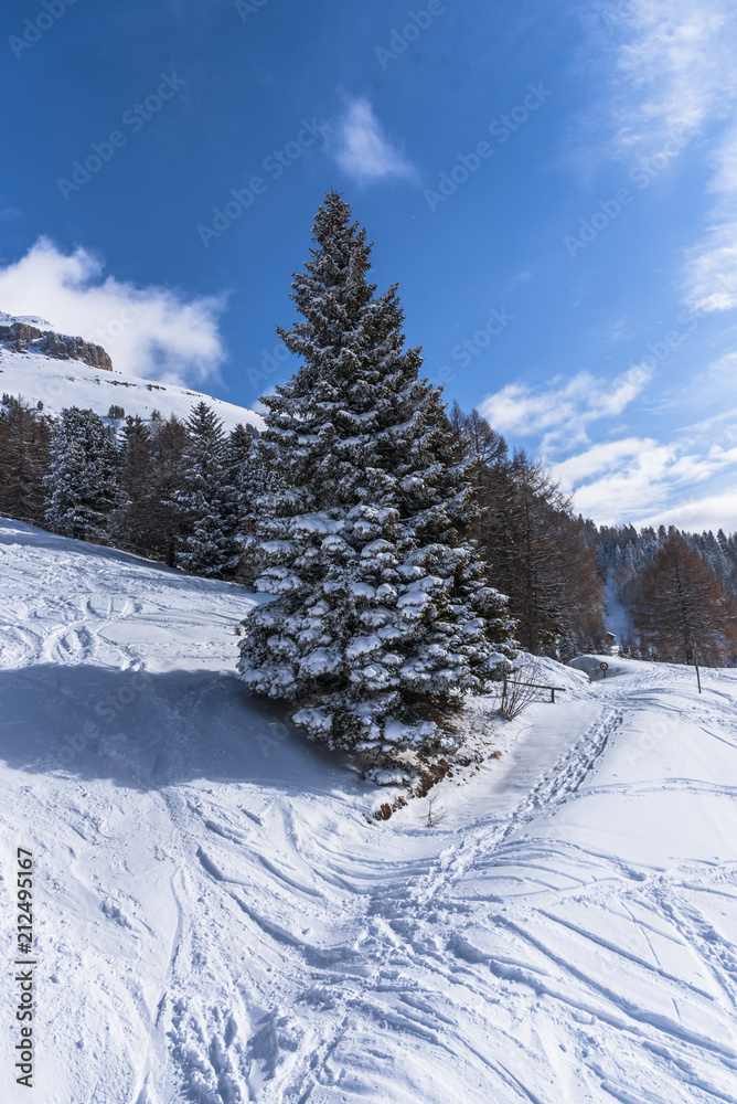 Winter landscape in Dolomites Mountains Winter landscape in Dolomites Mountains