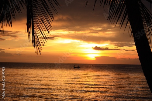 Sonnenuntergang Palme Boot Strand