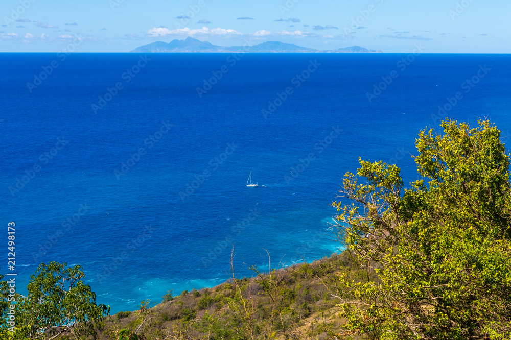 Trees Sea and Montserrat Trees Sea and Montserrat