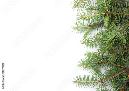 Branches of Christmas tree on white background © New Africa