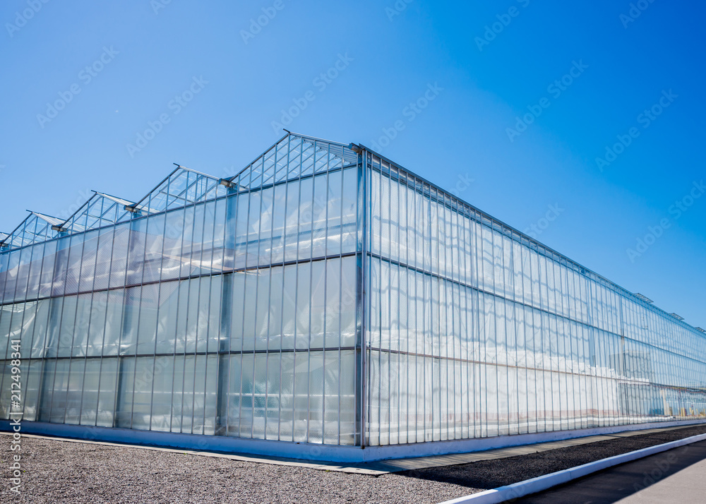Modern glass greenhouses against the blue sky. Modern glass greenhouses against the blue sky.