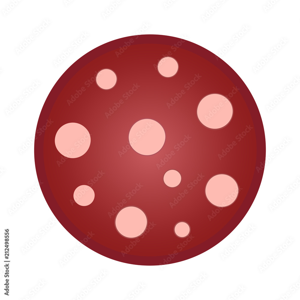 Salami smoked sausage slice. Top view macro detail salami sausage slice texture. Vector illustration isolated on white background. Salami smoked sausage slice. Top view macro detail salami sausage slice texture. Vector illustration isolated on white background.