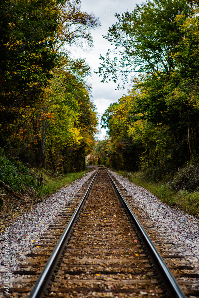 An abandoned railroad in the middle of a forest in fall An abandoned railroad in the middle of a forest in fall