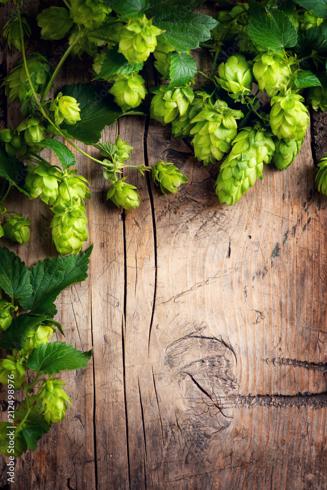 Hop twig over old wooden cracked table background. Beer production ingredient. Brewery concept. Vertical image Hop twig over old wooden cracked table background. Beer production ingredient. Brewery concept. Vertical image