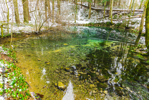 Wild river in the winter inside the forest